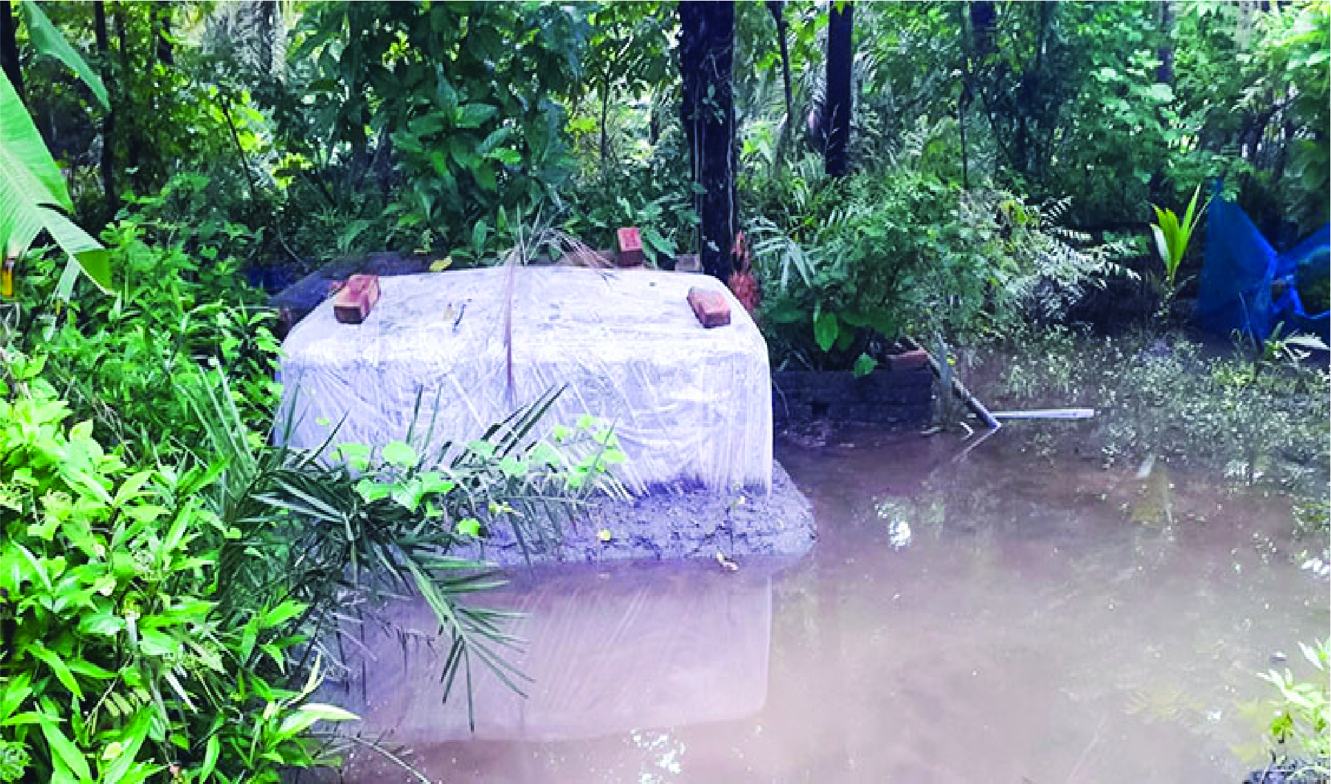 Image of মো: নবী নুর মোড়ল